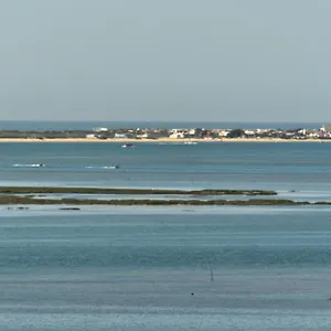 Stork Olhão